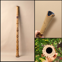 Tang Xiao 8 Holes 2 Piece Shakuhachi Blowing – Lacquered, Healing Tones ... - $90.00
