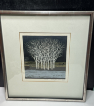 Fumio Fujita Framed Woodblock Winter Forrest White Birch Trees Signed 1975 - £222.96 GBP
