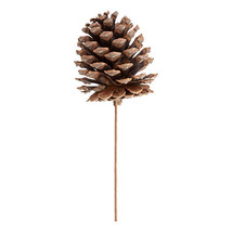 Pinecone Pick Natural - 9.75 Inches - $21.82