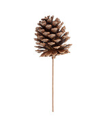 Pinecone Pick Natural - 9.75 Inches - £17.15 GBP