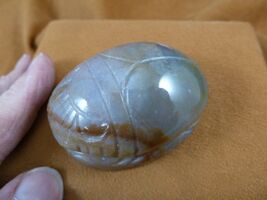 (Y-SCA-716) Tan green jasper Scarab beetle bug gemstone Egyptian bugs fi... - $24.99