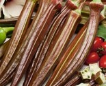10 Seeds Red Burgundy Okra Seeds Non Gmo Heirloom Fresh Fast Shipping - £7.22 GBP