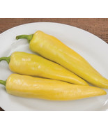 MBK Goddess Sweet Banana Pepper 10 Seeds Bulk Seeds - $18.45 CAD