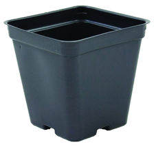 100 Pcs Black Trade Nursery Square Pot 3.5&quot; #MNGS - £50.19 GBP