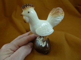 (TNE-CH-H-394a) Hen chicken game fowl TAGUA NUT Figurine carving Vegetab... - $30.15