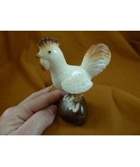 (TNE-CH-H-394a) Hen chicken game fowl TAGUA NUT Figurine carving Vegetab... - £24.01 GBP