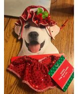 Holiday Dag Hat &amp; Collar Mrs. Claus XS/S Ships N 24h - $308.76 MXN