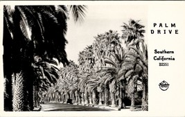 RPPC Southern California The Beautiful Palm Drive Frashers Photo Postcard W12 - £7.95 GBP