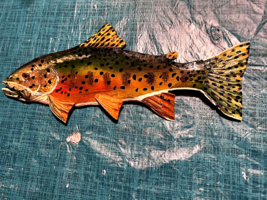 &quot; Greenback Cutthroat Trout&quot;,#38,  2022, 13 1/2 Inches/ Left Face, Ready... - £44.37 GBP