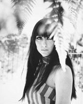 Cher 60&#39;S Flower Child Look B&amp;W 16x20 Canvas Giclee - £55.94 GBP