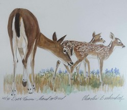 Charles Beckendorf (1930-1996) Hand Colored Doe and Fawns 25/30 - £233.51 GBP