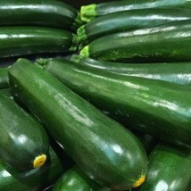 Squash Black Beauty Zucchini Seeds 25 Ct Summer Vegetable Non Gmo  - £9.27 GBP