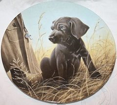 Edwin Knowles Plate &quot;COMMAND PERFORMANCE&quot; The Weimaraner by Lynn Katz 1987 - $13.95