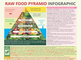 Raw Food  Pyramid, Raw Food Diet, problems and sources. PDF, download - £3.12 GBP