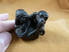 TNE-APE-MO-2) little Monkeys TAGUA NUT Netsuke nuts figurine carving goo... - $28.04