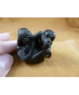 TNE-APE-MO-2) little Monkeys TAGUA NUT Netsuke nuts figurine carving goo... - £22.05 GBP
