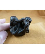 TNE-APE-MO-2) little Monkeys TAGUA NUT Netsuke nuts figurine carving goo... - €24,53 EUR