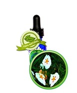 Labdanum (Rock Rose) Absolute Oil - 100% Pure (Cistus ladanif) -8oz (240ml) - $146.99