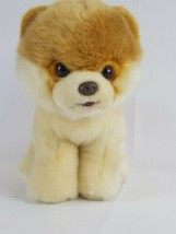 Gund Plush Boo The Pomeranian &quot;Worlds Cutest Dog&quot; Plush Cream Brown 9&quot; Toy - £19.60 GBP