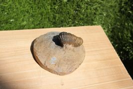Item image 13