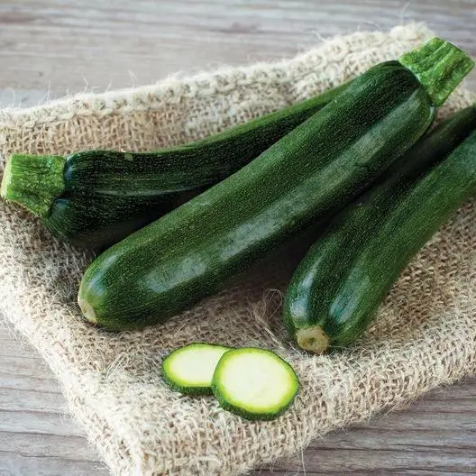 Black beauty Zucchini Squash 100 Seeds - $12.00