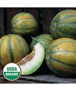10 Organic Haogen Melon Seeds Sweet Tasty Fresh Seeds - $15.65