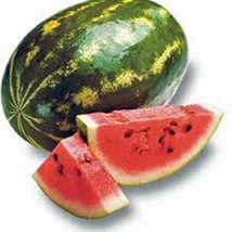 Watermelon Florida Giant Watermelon Seeds Fresh Seeds From US - £8.47 GBP