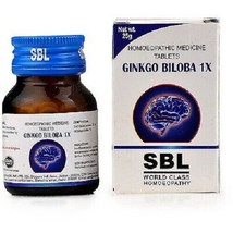Sbl Ginko Biloba 1X (25g) + Free Shippping Worldwide - £13.61 GBP
