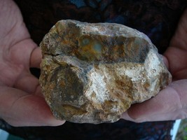 (DF840-4) 12 oz Fossil REAL DINOSAUR POOP Coprolite Dino Utah Jurassic D... - $769.42 MXN