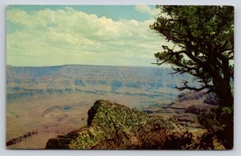 grand canyon frank wise Postcard VTG UNP k5402 kodachrome Cape Royal AZ - £4.59 GBP