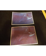 2 Whale and Calf Original Animal PAINTINGS Natural Habitat by John F Wah... - $727.53 MXN