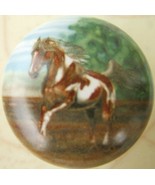Ceramic Cabinet Knobs  w/ Indian Paint Horse - €4,52 EUR