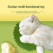 Durian Cat Brush, Dog Cat Self Groomer, Wall Corner Scratcher Massage Combs Duri - £14.29 GBP