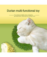 Durian Cat Brush, Dog Cat Self Groomer, Wall Corner Scratcher Massage Co... - £14.11 GBP
