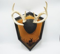 Mancave Garage Decor Whitetail Deer Antler 8 Point Mount-
show original ... - $211.82