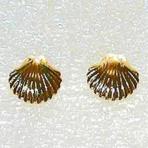 Scallop shell gold stud earring - £23.94 GBP