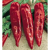 Numex Mesa Hot Peppers  10 Seeds  Garden Beautiful USA SELLER - £4.51 GBP