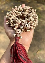 Goddess KALI Nar Mund Mala ROSARY Carved Skull Big Prayer Beads halloween - £31.32 GBP