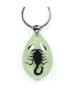 BLACK SCORPION Keychain Ring Glow In Dark Real INSECT Genuine  Key Chain... - £8.18 GBP