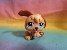 Hasbro Littlest Pet Shop Petriplets Puppy Dog #1340 Tan w/ Blue Eyes - £3.47 GBP