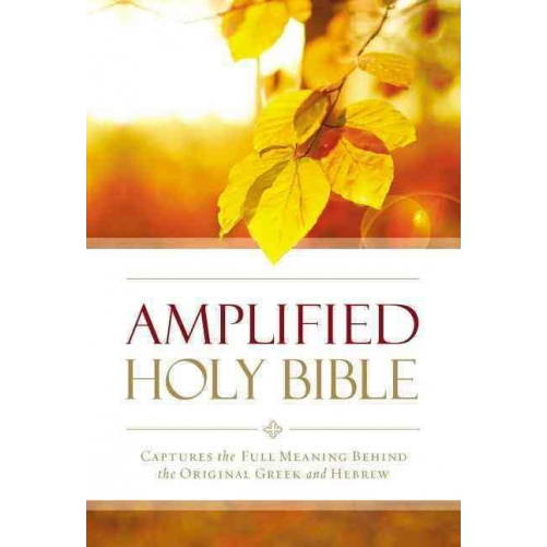 Zondervan Amplified Outreach Bible-Softcover - $27.32