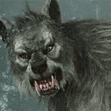 XXX POWERFUL WEREWOLF DIRECT BINDING RITUAL RARE SUPERNATURAL POWERS - $111.11