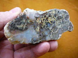 (DF703-22) 6 Oz Fossil Real Dinosaur Poop Coprolite Dino Utah Jurassic Dung Scat - £23.22 GBP