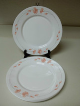 Arcopal France Linette ~ Set of 4 Dinner Plates ~ Excellent - $35.60