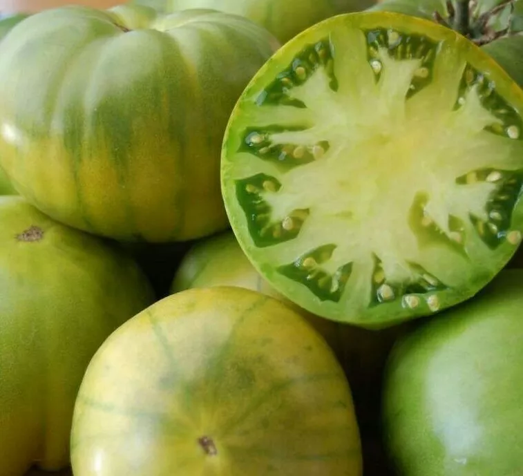 50 RUBY&#39;S GREEN GERMAN TOMATO SEEDS Garden Vegetables - $3.00