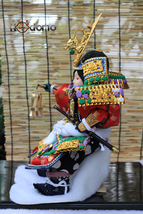 Item image 12