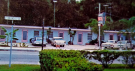 Brookwood Hotel Brooksville Florida Postcard Retro Old Cars Dog Dexter Press - £6.77 GBP