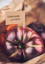 FMG 10 Cherokee Purple Tomato Seeds Heirloom Non-Gmo Organic Fast Grow - $215.11 MXN