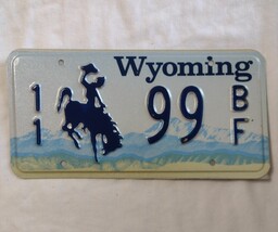 VINTAGE WYOMING LICENSE PLATES (PAIR)  NO LONGER IN USE-  PARK COUNTY 11... - $18.00