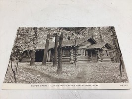 White Pines Forest IL Real Photo Postcard RPPC Early 1900s St Park Super Cabin  - £17.22 GBP